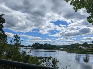View from the porch at Salt and Pepper Social in Newcastle