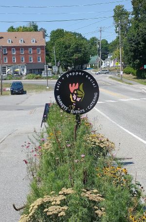  at Salt and Pepper Social in Newcastle