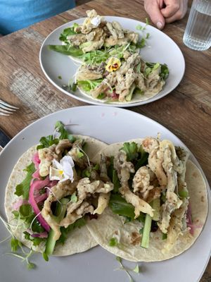 Mushroom tacos and appetizer Focaccia with olive oil and balsamic were delicious! at Salt and Pepper Social in Newcastle