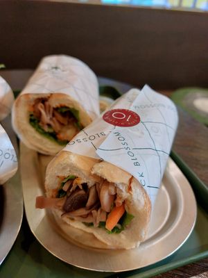  at 10 O'clock Blossom in Seoul