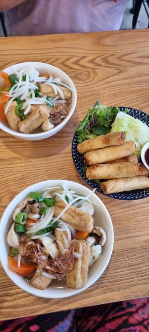 Spring roll starter. Tofu & mushroom pho main. at Tu Vietnamese Street Food in Myrtleford