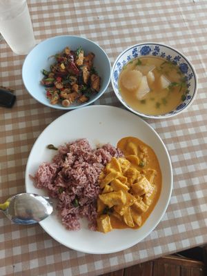 Panaeng curry & spicy 'fish' salad at Raan Nittaya Ahaan Jey - ร้านนิตย์ อาหารเจ in Chiang Mai