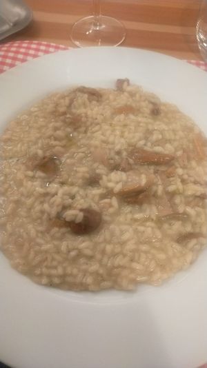 Chanterellea and cèpes risotto at Ristorante Peruggini in Vistarino