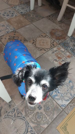  at Ristorante Peruggini in Vistarino