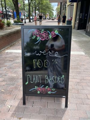 100% plant based menu - somebody pinch me, I must be dreaming   at Vibe Gastropub in Fayetteville