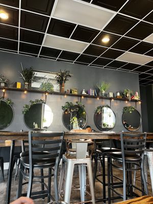   at Vibe Gastropub in Fayetteville