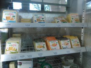 Vegan cheese! at Evergreen in Warsaw