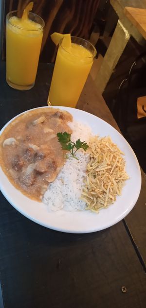 Strogonoff of m Futuro Burger! at Zé Vegano in Rio De Janeiro