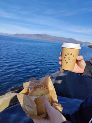 Caffe and cheese bun at Plantan Kaffihús in Reykjavik