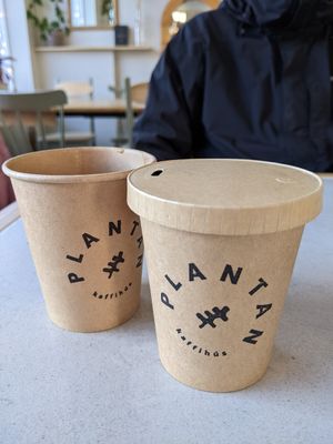  at Plantan Kaffihús in Reykjavik