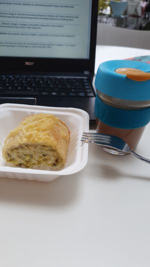  at Plantan Kaffihús in Reykjavik