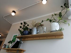  at Plantan Kaffihús in Reykjavik