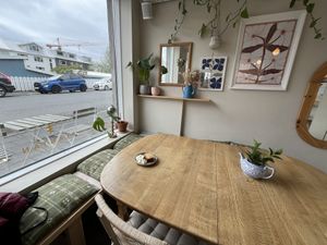   at Plantan Kaffihús in Reykjavik