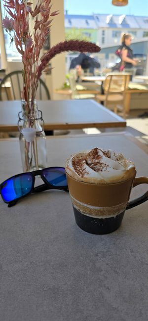  at Plantan Kaffihús in Reykjavik