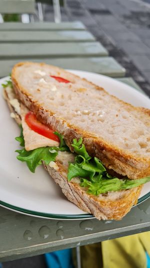  at Plantan Kaffihús in Reykjavik