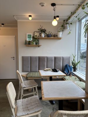   at Plantan Kaffihús in Reykjavik