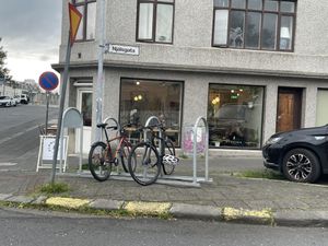   at Plantan Kaffihús in Reykjavik