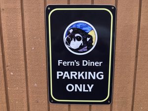  at Fern's Diner + Drinkery in Cascade