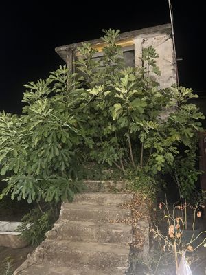   at Arti'Zanave in Shkoder