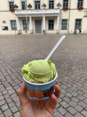   at Canalettini in Pirna