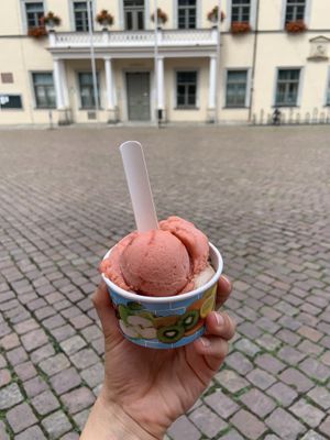   at Canalettini in Pirna