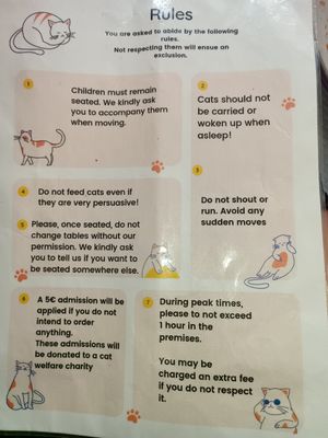  at Le Chat'Ren'Thé - CatCoffee & Restaurant in La Rochelle