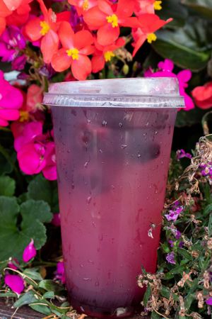 Iced Berry Refreshing Drink Special at Tandem Bagel Company in Hadley