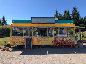  at Shiva Boom in Homer