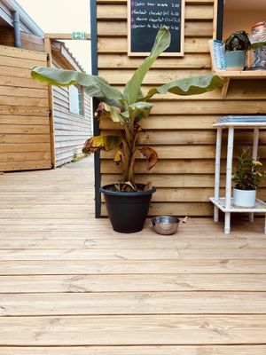   at Face au Bowl in Crozon