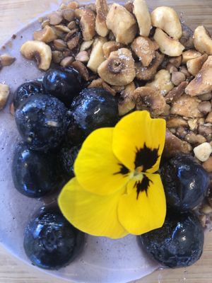 Blueberry vegan panna cotta   at Face au Bowl in Crozon