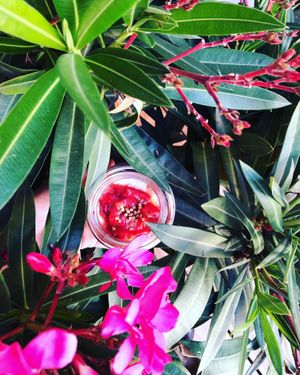 Pana cotta vegan   at Face au Bowl in Crozon