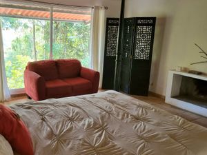 Harpy Eagle Room with canopy view! at Treehouse Vegan Retreat in Cerro Azul