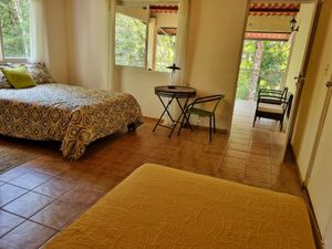  at Treehouse Vegan Retreat in Cerro Azul