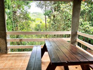  at Treehouse Vegan Retreat in Cerro Azul