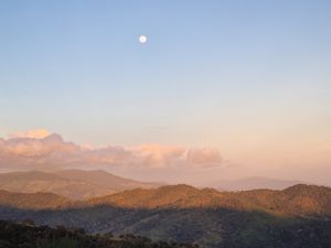  at Treehouse Vegan Retreat in Cerro Azul