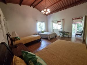  at Treehouse Vegan Retreat in Cerro Azul