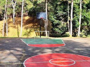  at Treehouse Vegan Retreat in Cerro Azul