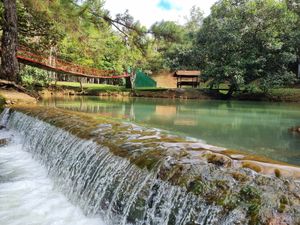  at Treehouse Vegan Retreat in Cerro Azul
