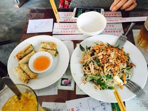 spring rolls and fresh pho noodles (recommend) at Minh Hien in Hoi An