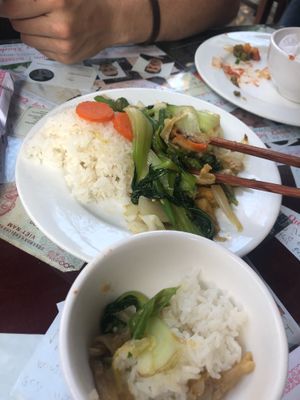 Steam rice with sautéed veggies and tofu - delicious at Minh Hien in Hoi An