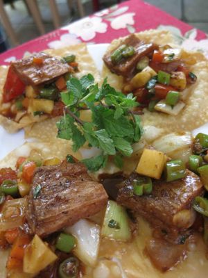 Crispy Won Ton with seitan - my favourite dish, it was so tasty at Minh Hien in Hoi An