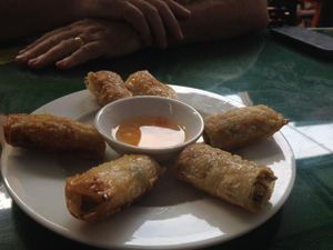spring rolls, part of set menu for 2 at Minh Hien in Hoi An