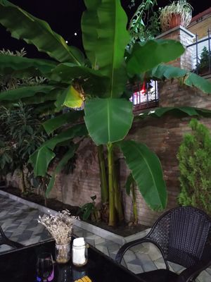  at UMMY - უმმი in Tbilisi