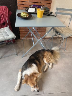   at UMMY - უმმი in Tbilisi