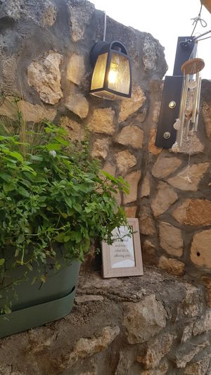  at Mint in Premantura