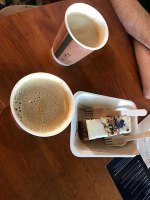  at Urban Butterfly in Cambridge