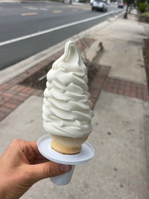 Vegan ice cream at San Marco Dreamette in Jacksonville