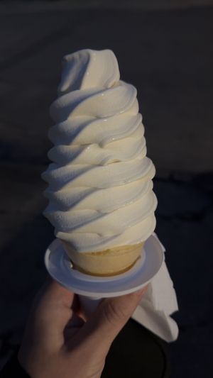   at San Marco Dreamette in Jacksonville