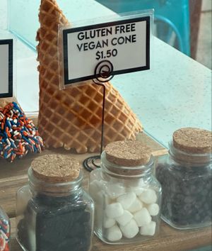 GF & vegan cone  at Local Creamery in Plano