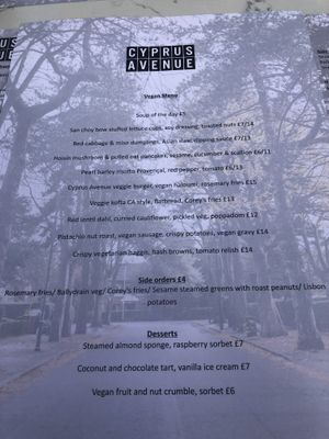 Vegan menu  at Cyprus Avenue in Belfast